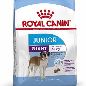 royal canin out of stock