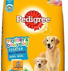 pedigree starter 10kg